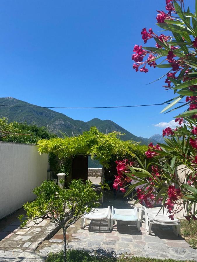 Mansarda Apartment Kotor Exteriér fotografie
